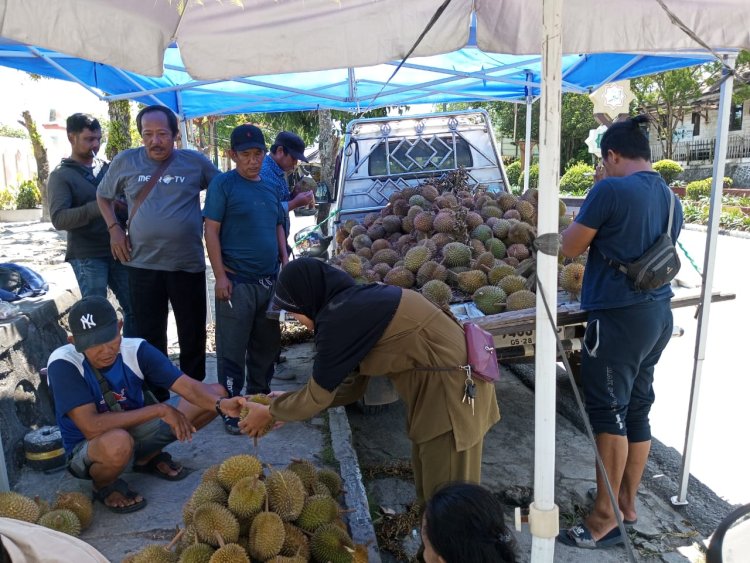" FENOMENA PEDAGANG DURIAN MUSIMAN : PELUANG USAHA YANG MENGHIDUPKAN EKONOMI LOKAL DI PANGKALAN BUN "