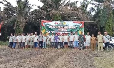 " KOTAWARINGIN BARAT CETAK SEJARAH BARU: PENANAMAN JAGUNG PERDANA DI PANGKALAN BANTENG DUKUNG KETAHANAN PANGAN NASIONAL " 