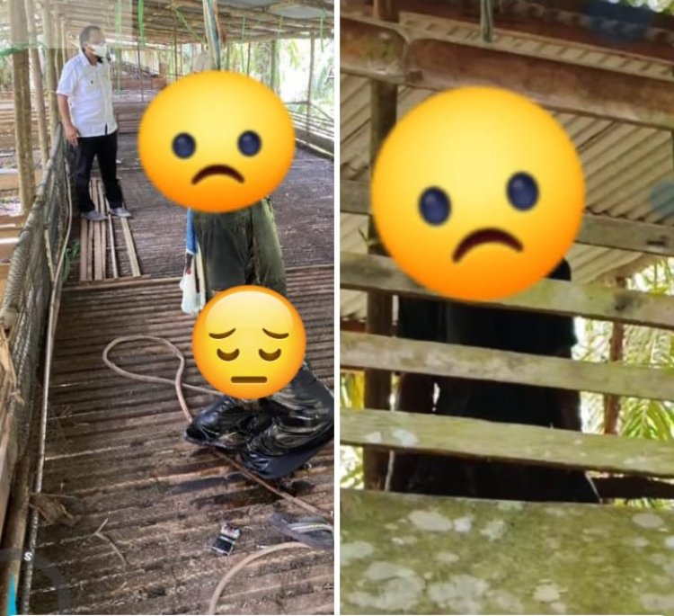 " MAYAT MISTERIUS DITEMUKAN MEMBUSUK DI KANDANG AYAM TAK BERPENGHUNI, WARGA GEGER! " 