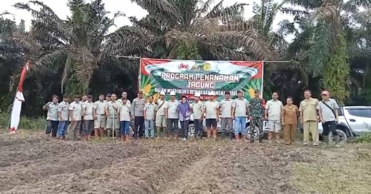 " KOTAWARINGIN BARAT CETAK SEJARAH BARU: PENANAMAN JAGUNG PERDANA DI PANGKALAN BANTENG DUKUNG KETAHANAN PANGAN NASIONAL " 